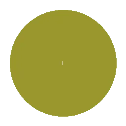 Illustrator
